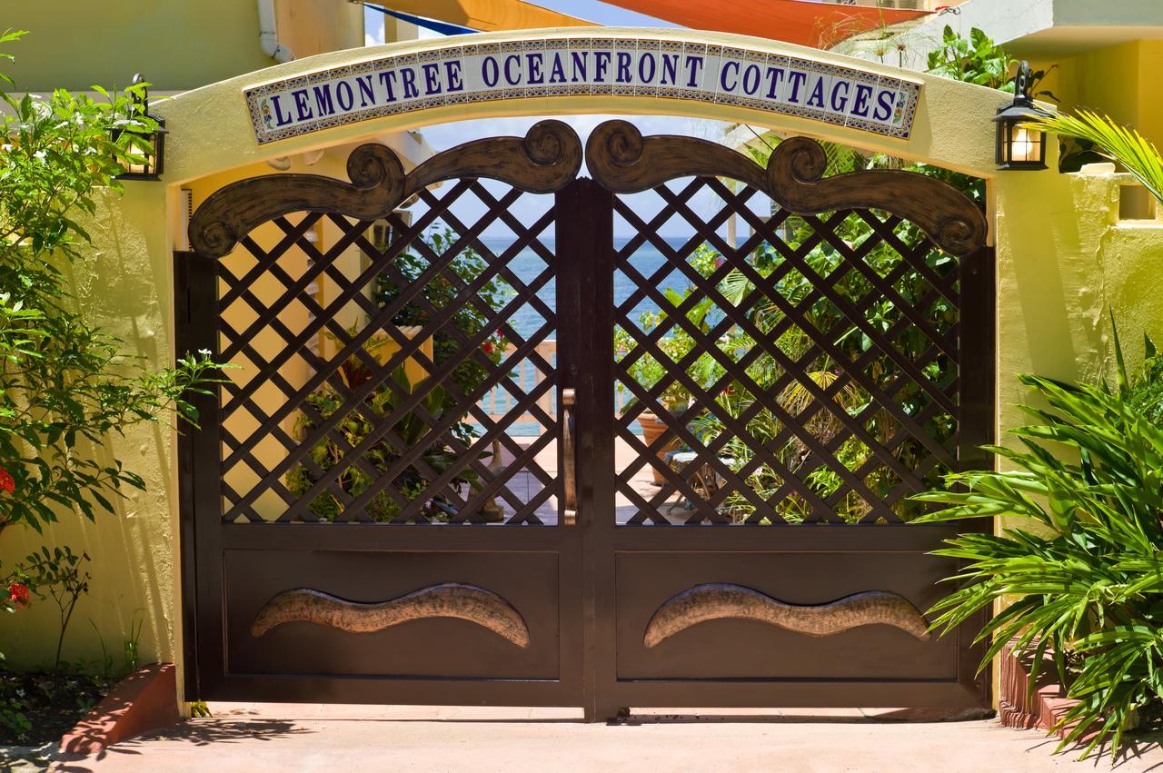 Lemon Tree Ocean Front Hotel Rincon Exterior photo
