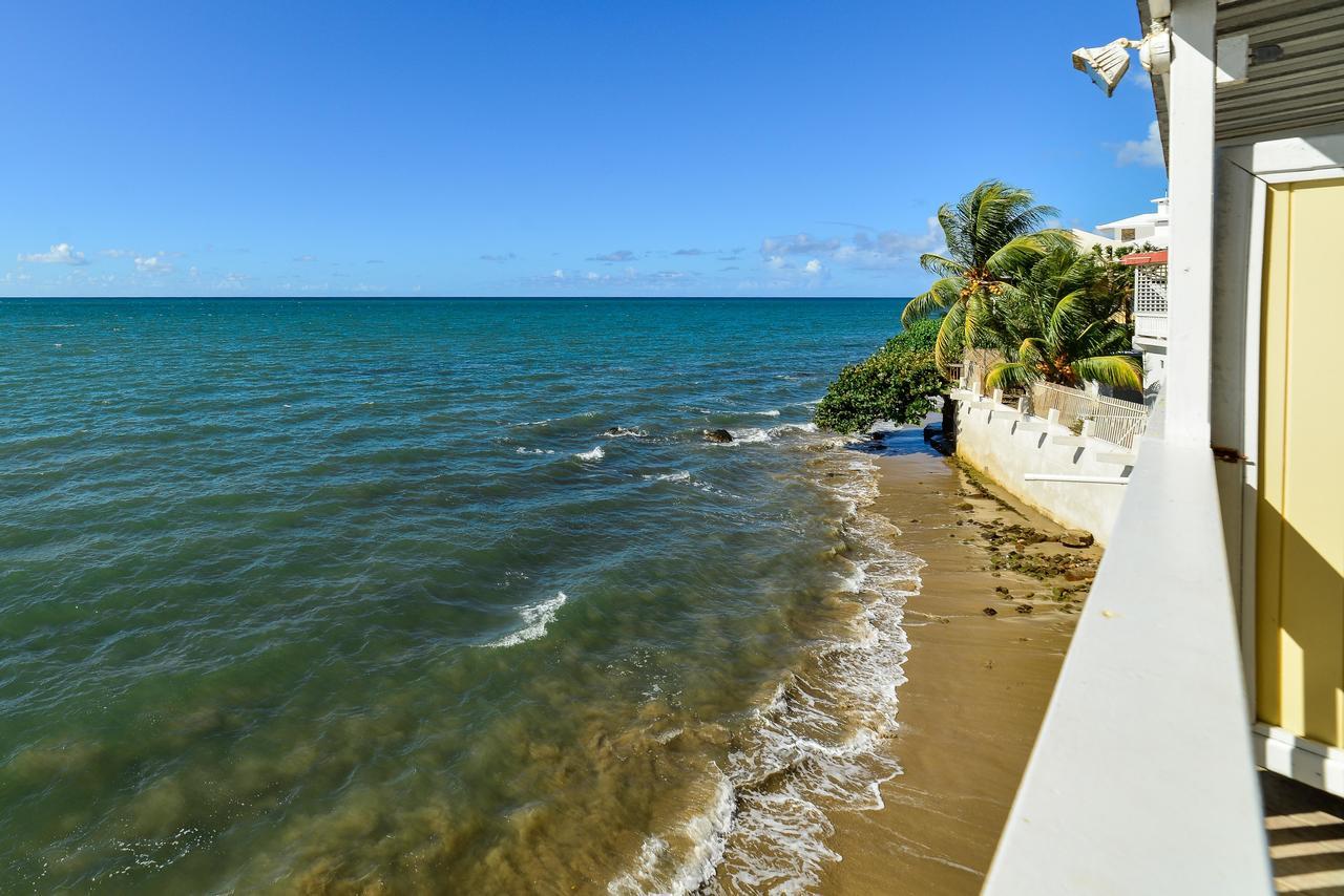 Lemon Tree Ocean Front Hotel Rincon Exterior photo
